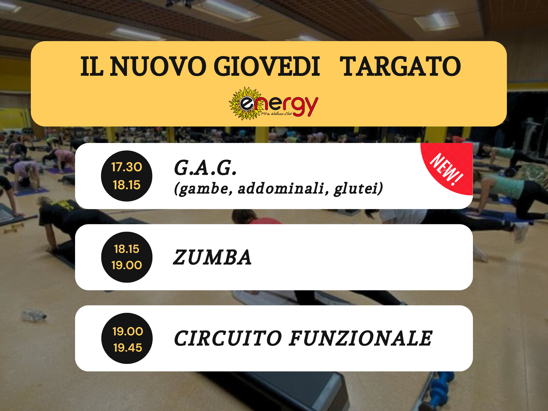 SITO WEB COPERTINE